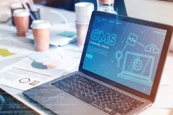 Lire la suite à propos de l’article CMS Developer